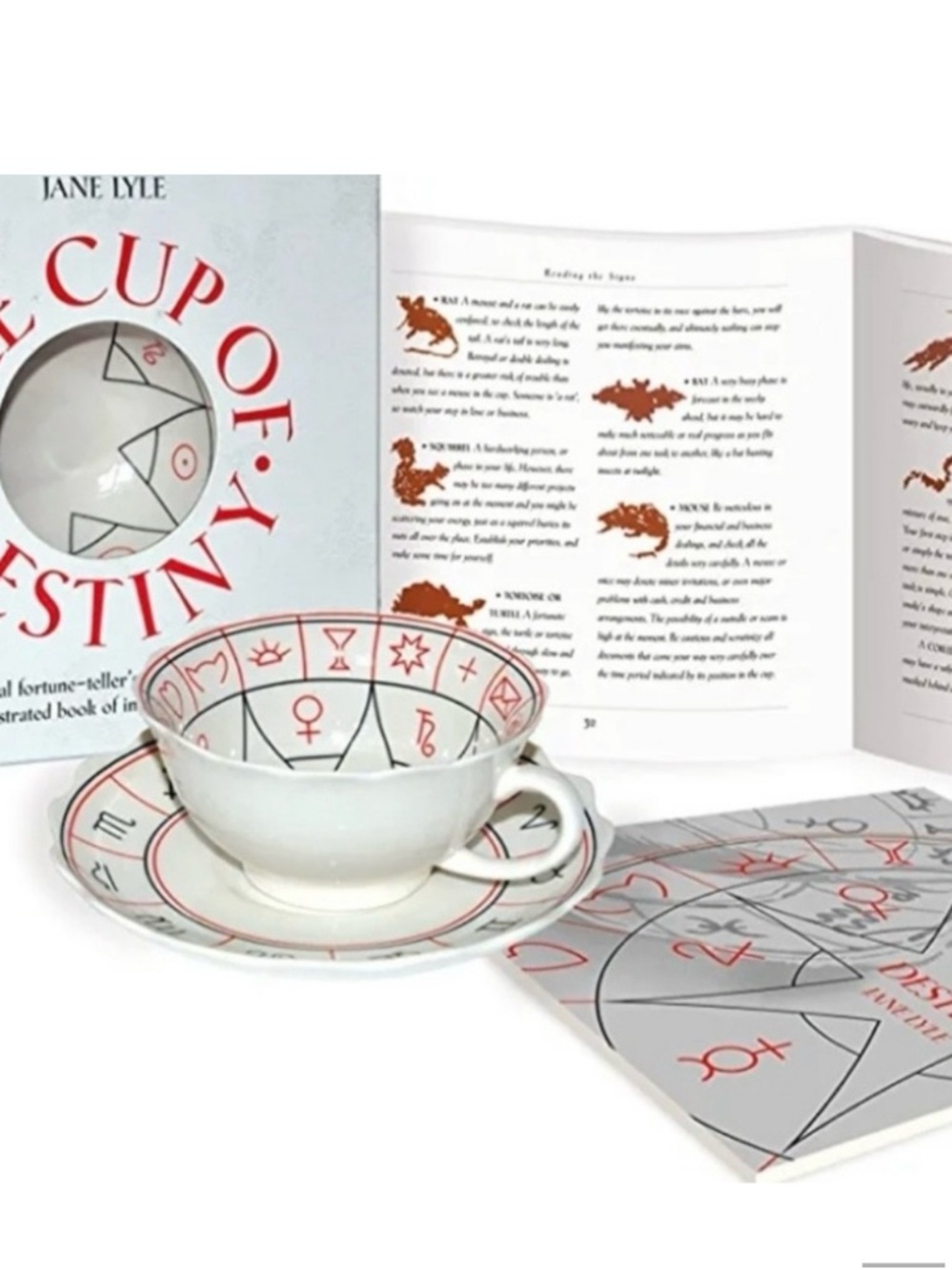 Cup of Destiny Tea Cup & Saucer Set with Illustrated Book of Interpretations